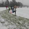 krampuslauf_purgstall06