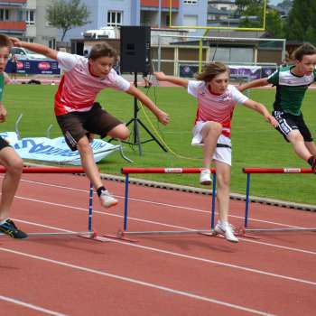 NÖM U14 Amstetten 2019